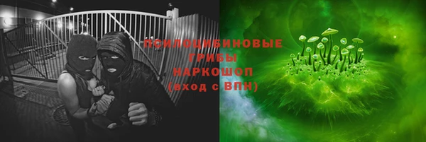 мдпв Надым