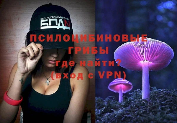 мдпв Надым