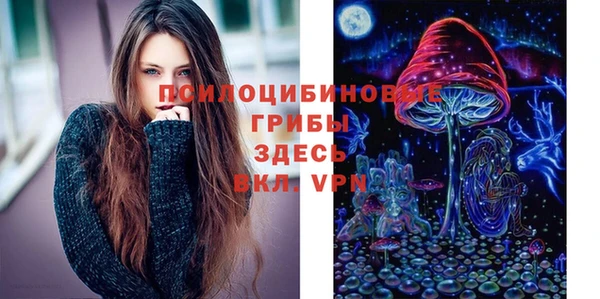 мдпв Надым