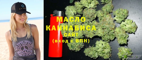 мдпв Надым