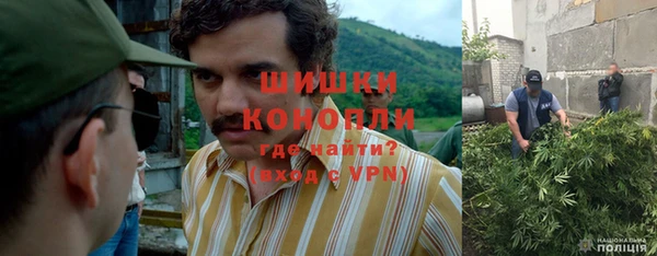 мдпв Надым