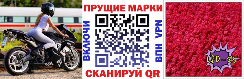 кракен tor  Стародуб  Марки N-bome 1,5мг 