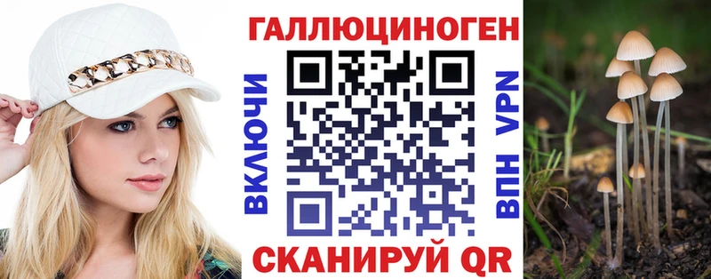 Галлюциногенные грибы Cubensis  blacksprut   Стародуб  даркнет сайт 